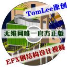 TomLee原创EFX钢结构设计视频教程